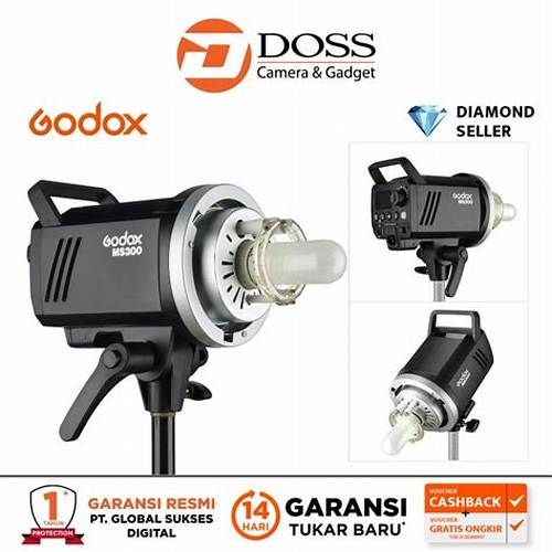 GODOX MS300