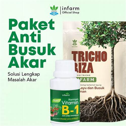 INFARM Tricho anti busuk akar