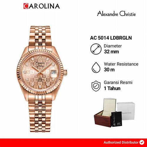 Jam Tangan Wanita Alexandre Christie AC 5014 LDBRGLN Rose Dial Rose Stainless Steel