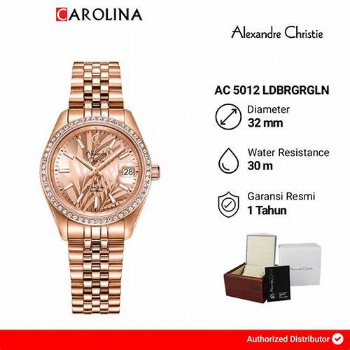 Jam Tangan Wanita Alexandre Christie Classic Steel AC 5012 LDBRGRGLN Rose Dial Rose Gold Dual Tone Stainless Steel