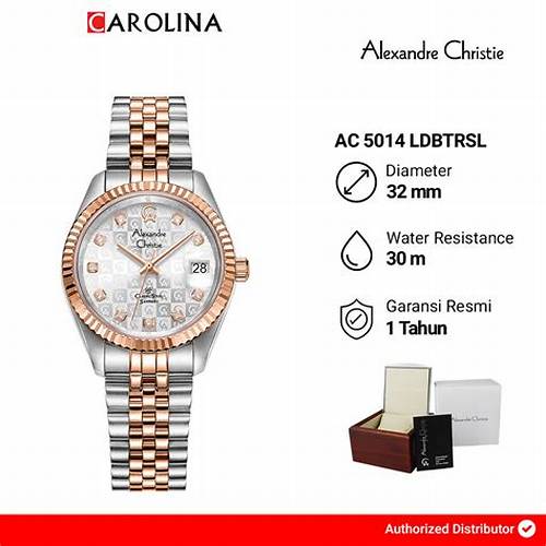 Jam Tangan Wanita Alexandre Christie Classic Steel AC 5014 LDBTRSL Silver Dial Dual Tone Stainless Steel Strap