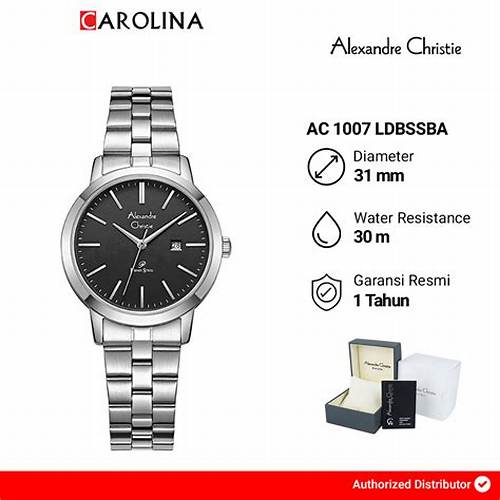 Jam Tangan Wanita Alexandre Christie Passion AC 1007 LDBSSBA Black Dial Stainless Steel Strap