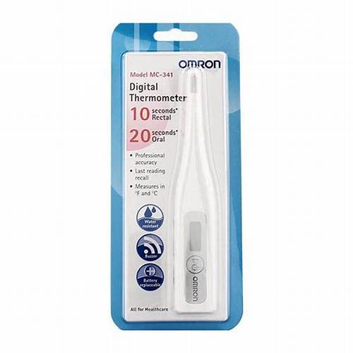 Omron Thermometer Digital MC-341