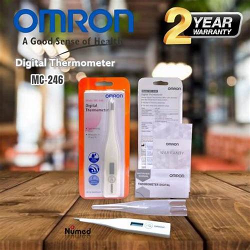 Omron Thermometer MC-246 Original