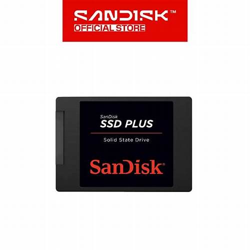 SANDISK SSD Plus 250GB / 500GB / 1TB (Up to 545MB/s)